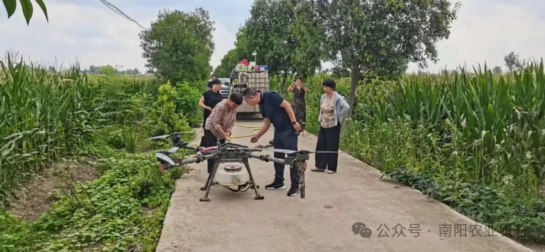 镇平县侯集镇：四级联动强化秋粮“一喷多促”管理
