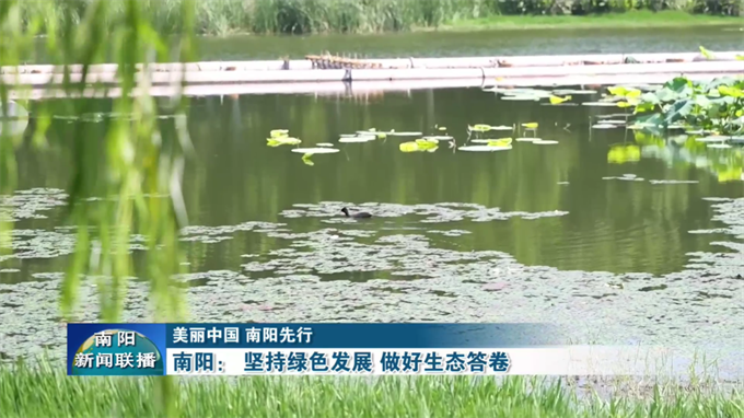 南阳：坚持绿色发展 做好生态答卷