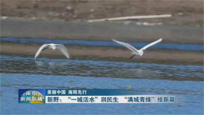 新野:“一城活水”润民生 “满城青绿”绘新篇 新野:“一城活水”润民生 “满城青绿”绘新篇