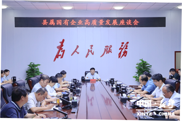 新野县召开县属国有企业高质量发展座谈会