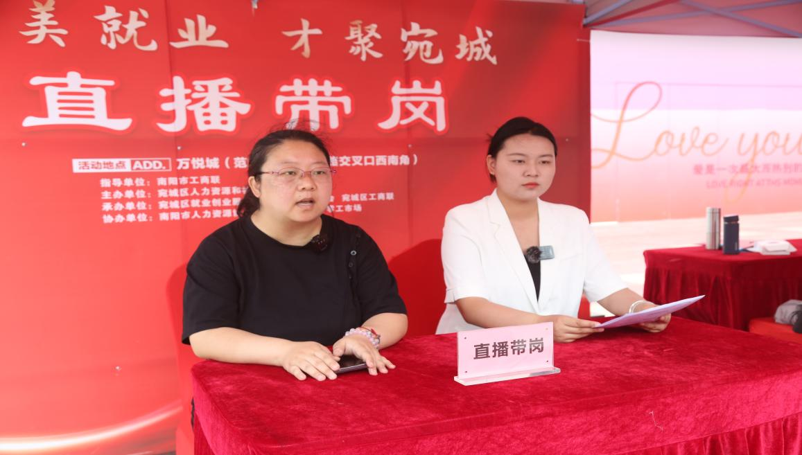 宛城区人社局2025年民营企业服务月专场招聘会 成功举办