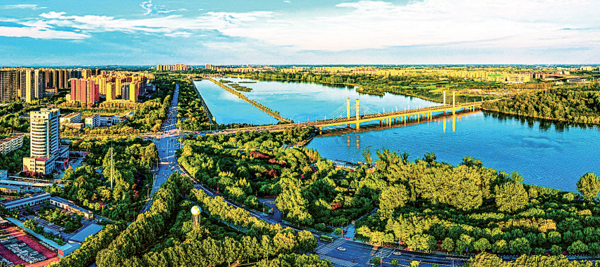 满城青绿惹人醉