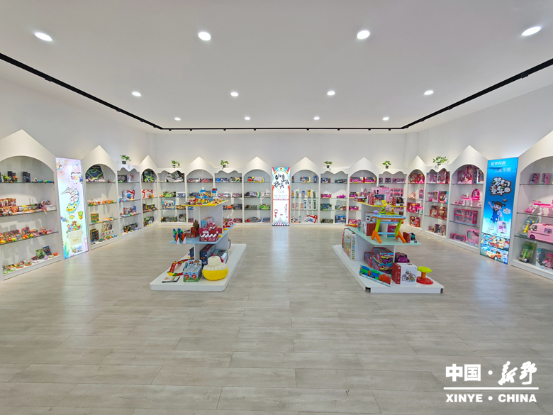 新野发展·实景绘卷——汉化街道