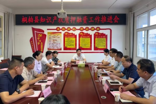 桐柏县市场监督管理局举办知识产权质押融资工作推进会