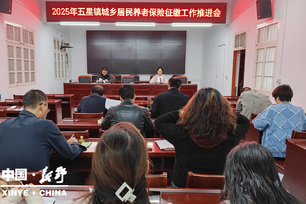 五星镇：多管齐下促参保  征缴工作稳推进