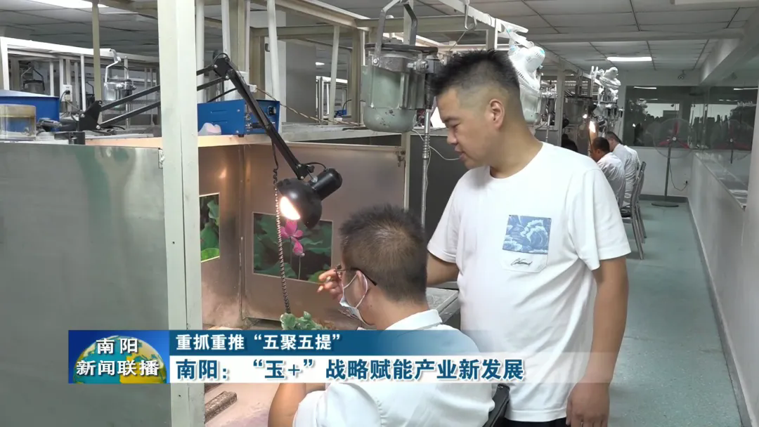 【走进第二十届玉雕文化节】南阳：“玉+”战略赋能产业新发展