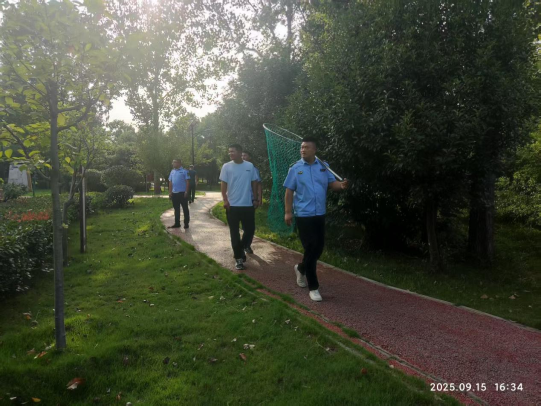 【12345热线】宛城区：党建引领基层优化治理 奏响文明养犬“和谐乐章”