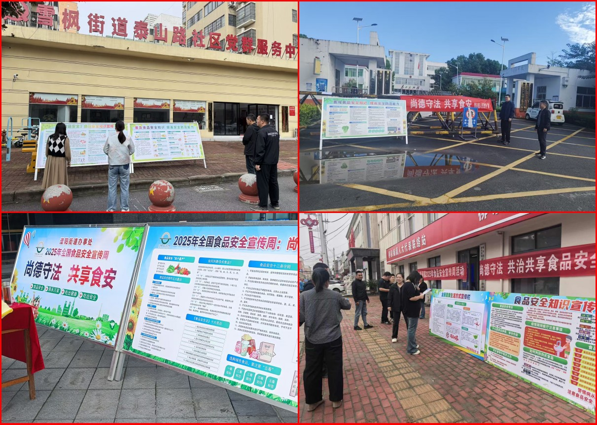 镇平县举办2025年食品安全宣传周集中宣传活动