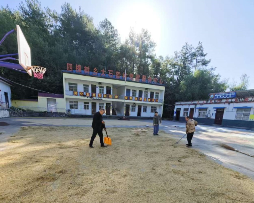 市人社局驻南召大石窑村工作队：为民解忧办实事，助力秋收暖民心