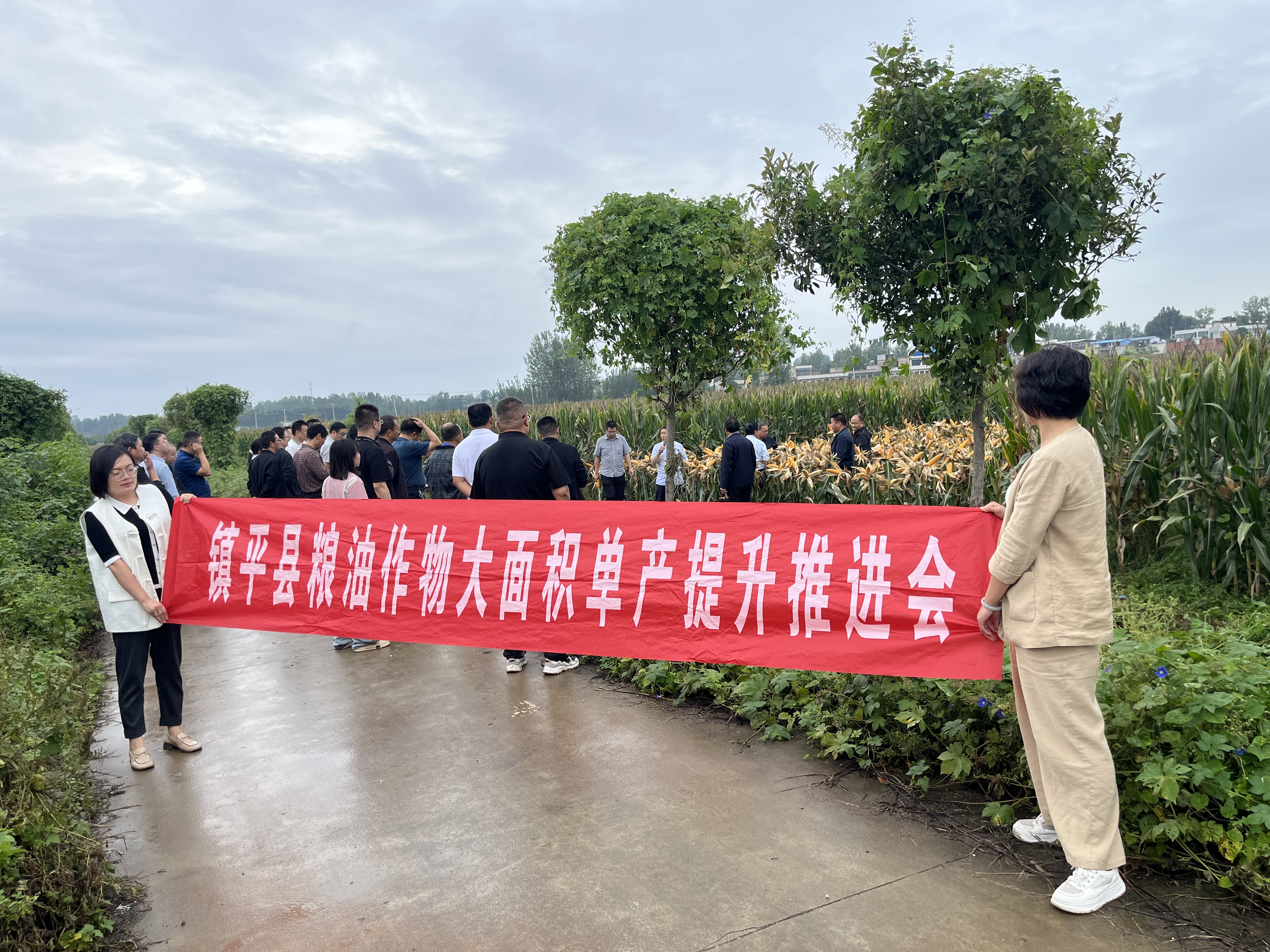 镇平县“以看代训”推进粮（玉米）油 作物大面积单产提升行动