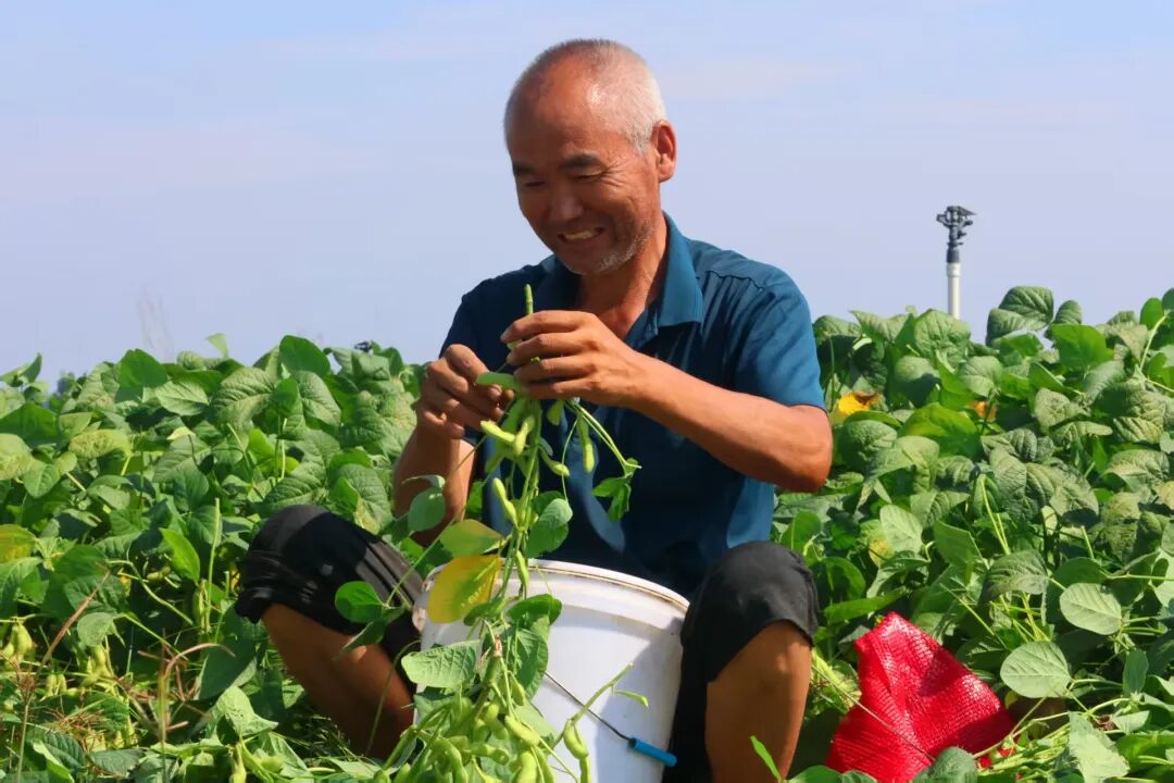 【新闻发布】郝寨镇特色产业“三驾马车”齐头并进 激活乡村振兴“一池春水”