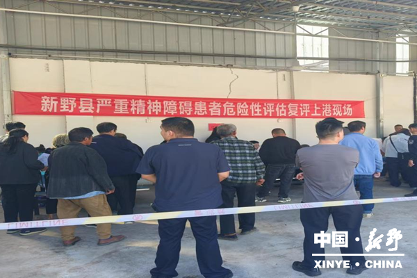 上港乡卫生院顺利完成严重精神障碍患者危险性评估复评工作