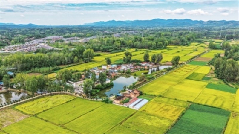 图说南阳|美丽乡村