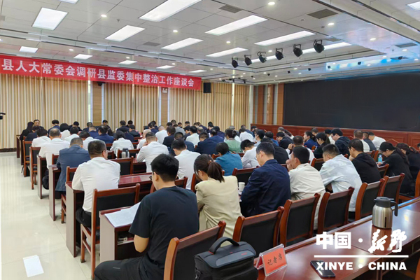 新野县人大常委会召开县监委集中整治工作专题调研座谈会