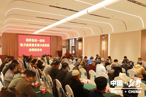 新野县召开统一战线助力高质量发展与高效能治理座谈会