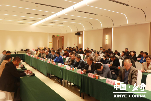 新野县召开统一战线助力高质量发展与高效能治理座谈会