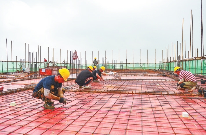 “秸”尽所能！河南发文让废秸秆变身“金宝贝”