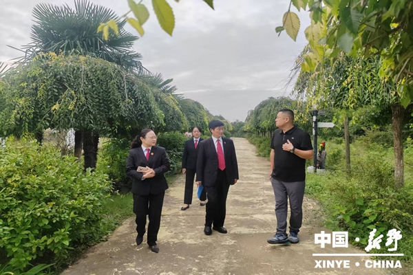 精准对接司法需求 护航民企高质量发展