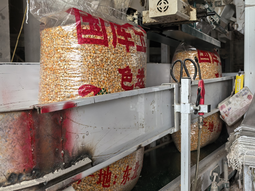 宛城区：全力以赴打好秋粮“保卫战”