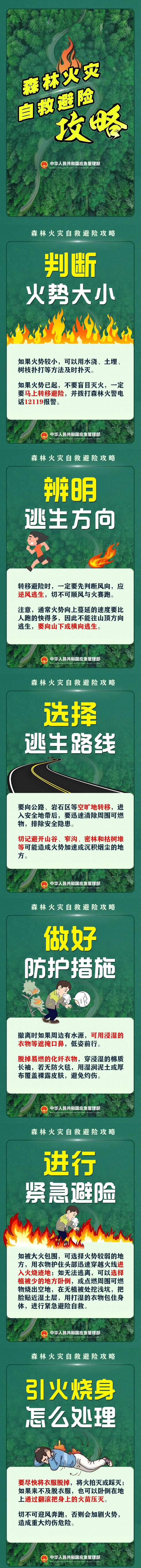 【森林防火】森林火灾自救避险攻略