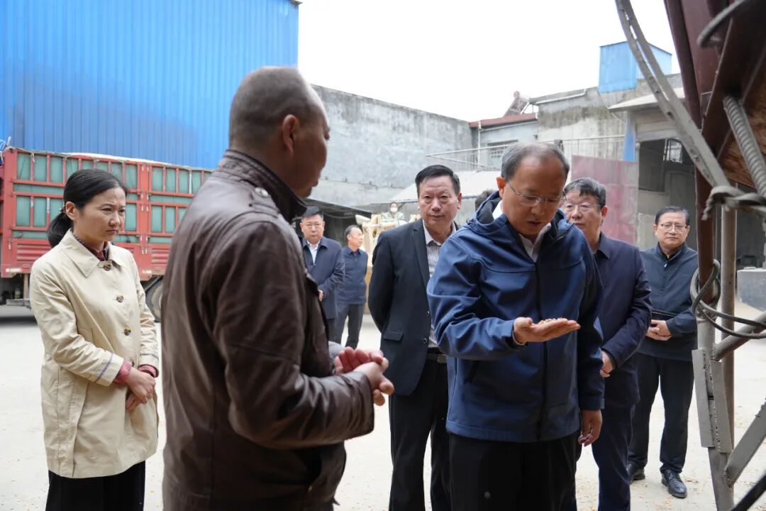 卧龙区：吕志刚调研“三秋”生产工作  坚决扛牢粮食安全责任  全力保障秋粮颗粒归仓
