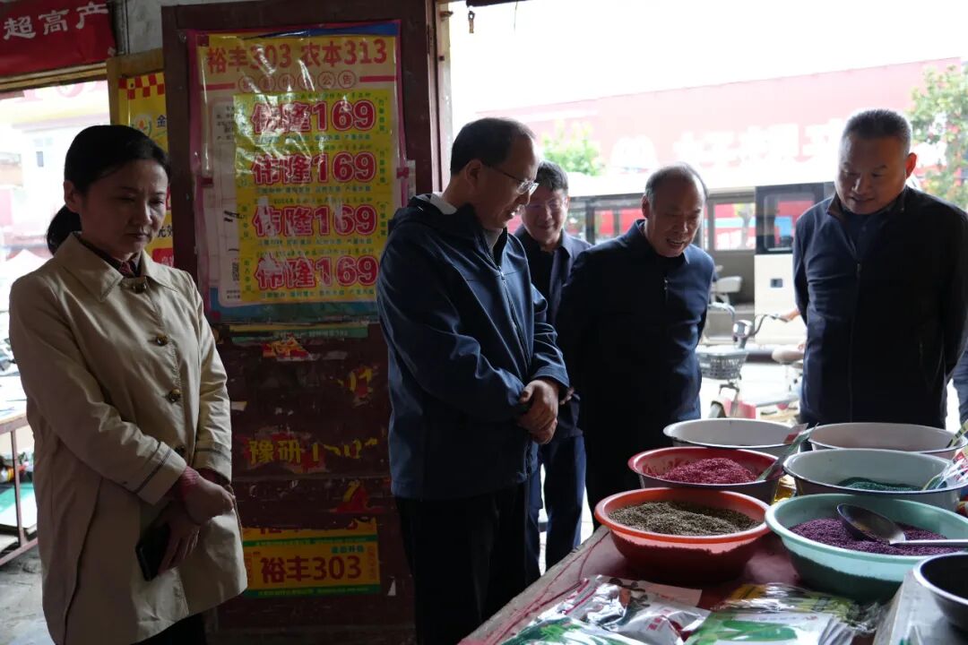 卧龙区：吕志刚调研“三秋”生产工作  坚决扛牢粮食安全责任  全力保障秋粮颗粒归仓