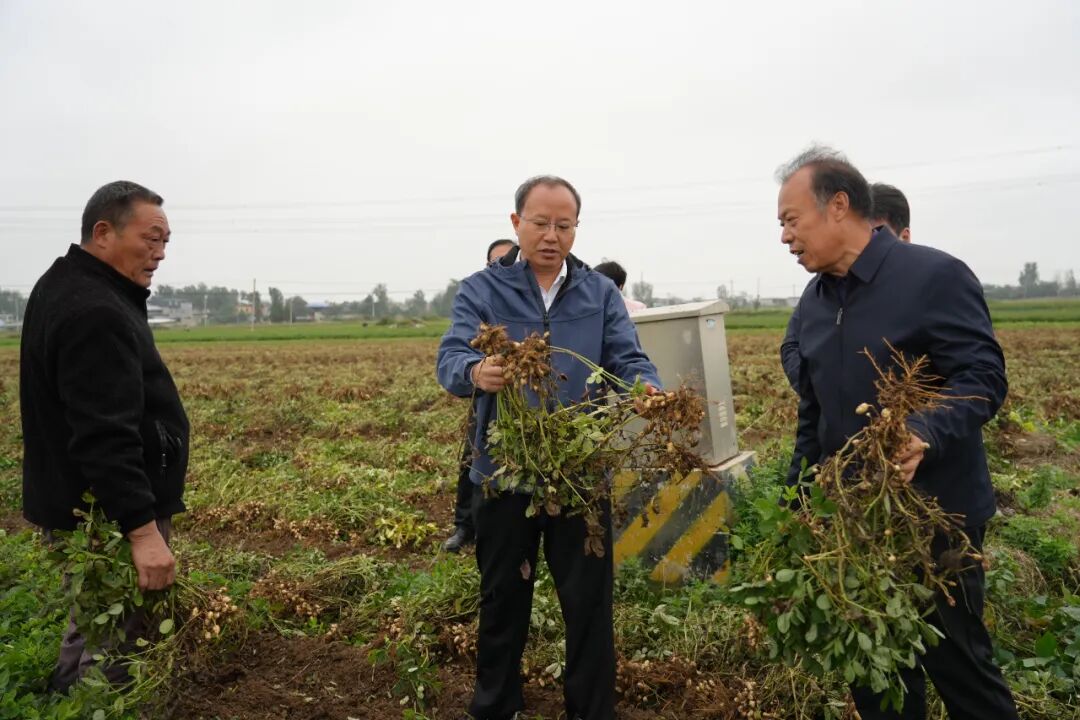 卧龙区:吕志刚调研“三秋”生产工作 坚决扛牢粮食安全责任 全力保障秋粮颗粒归仓 卧龙区:吕志刚调研“三秋”生产工作 坚决扛牢粮食安全责任 全力保障秋粮颗粒归仓