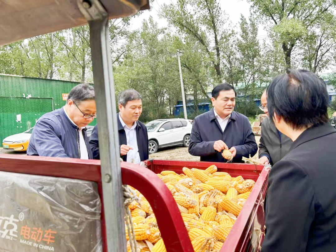 市农业农村局局长周清玉调研“三秋