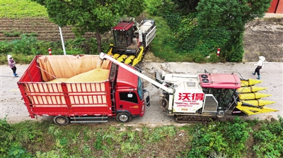 抓紧抓实“三秋”生产