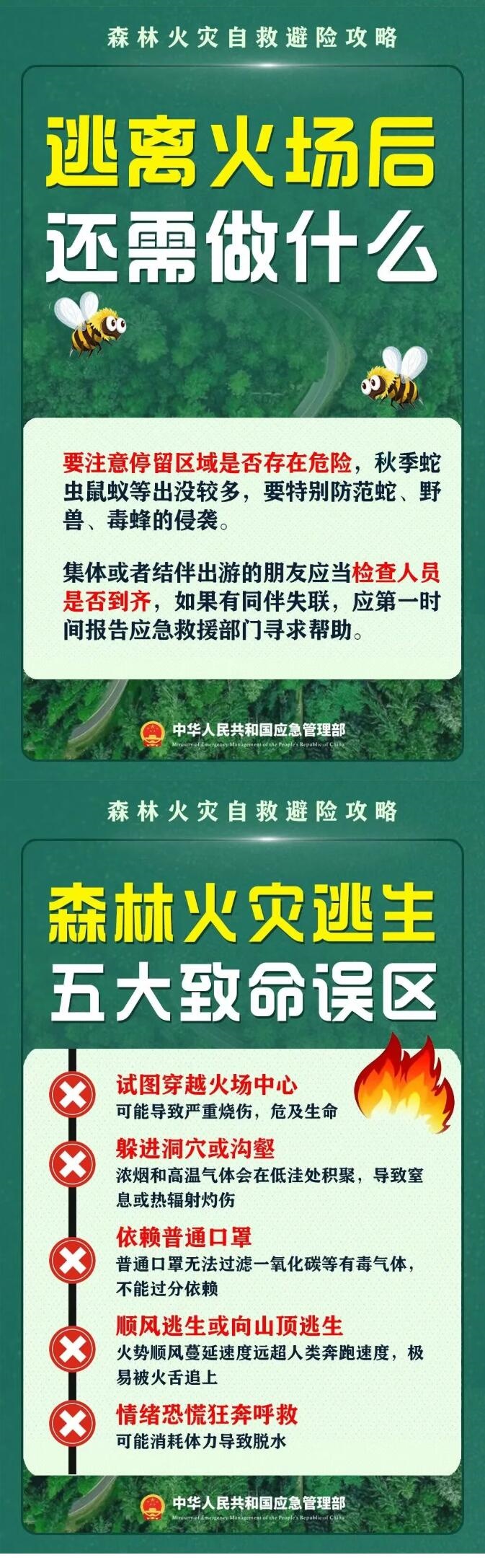 【森林防火】森林火灾自救避险攻略