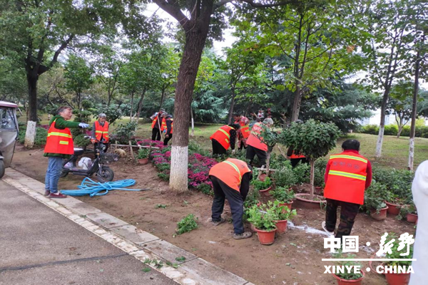 市政设施服务中心全力保障新野秋季菊花展布置工作有序开展 市政设施服务中心全力保障新野秋季菊花展布置工作有序开展