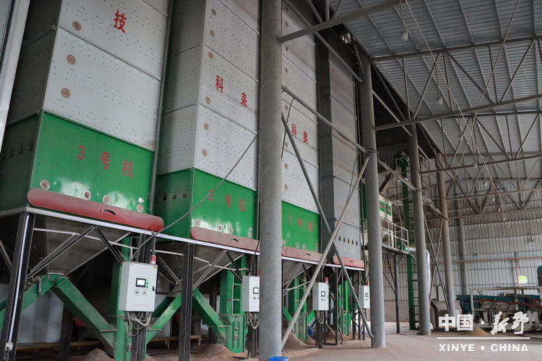 风雨无阻护秋收