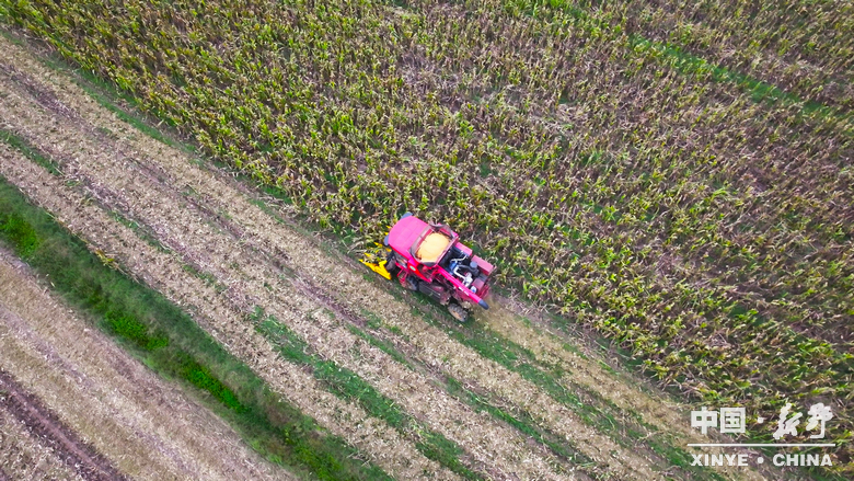 风雨无阻护秋收