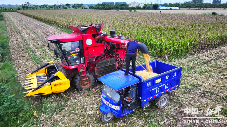 风雨无阻护秋收