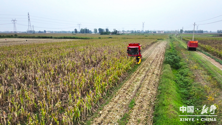 风雨无阻护秋收