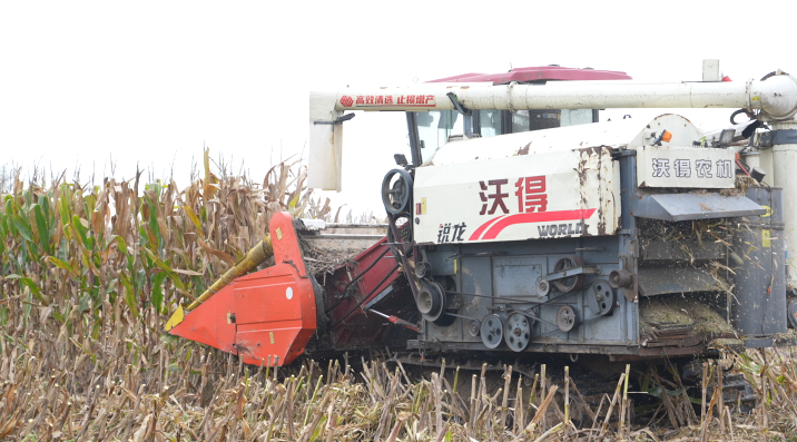 卧龙区:抢晴战雨保秋收 卧龙区:抢晴战雨保秋收