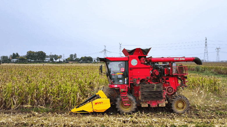 风雨无阻护秋收