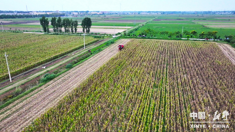 风雨无阻护秋收