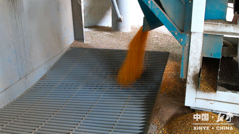 风雨无阻护秋收