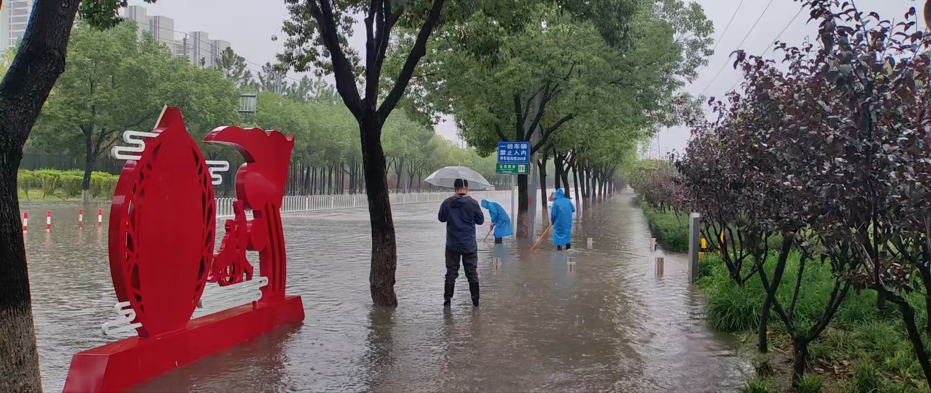 雨中 “排涝护行” 筑牢民生安全防线