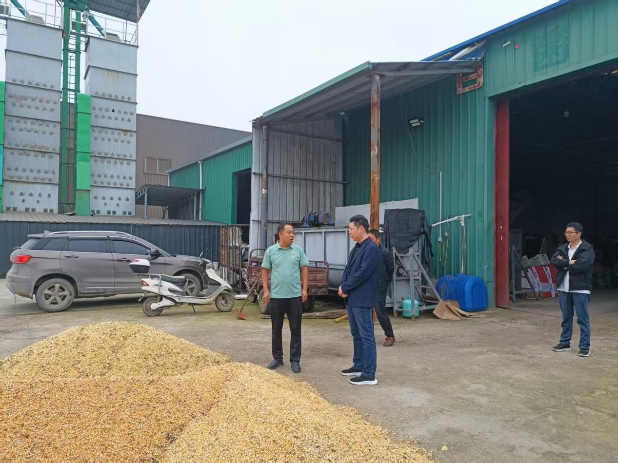 桐柏县平氏镇：协力奋战抓抢收 确保秋粮颗粒归仓