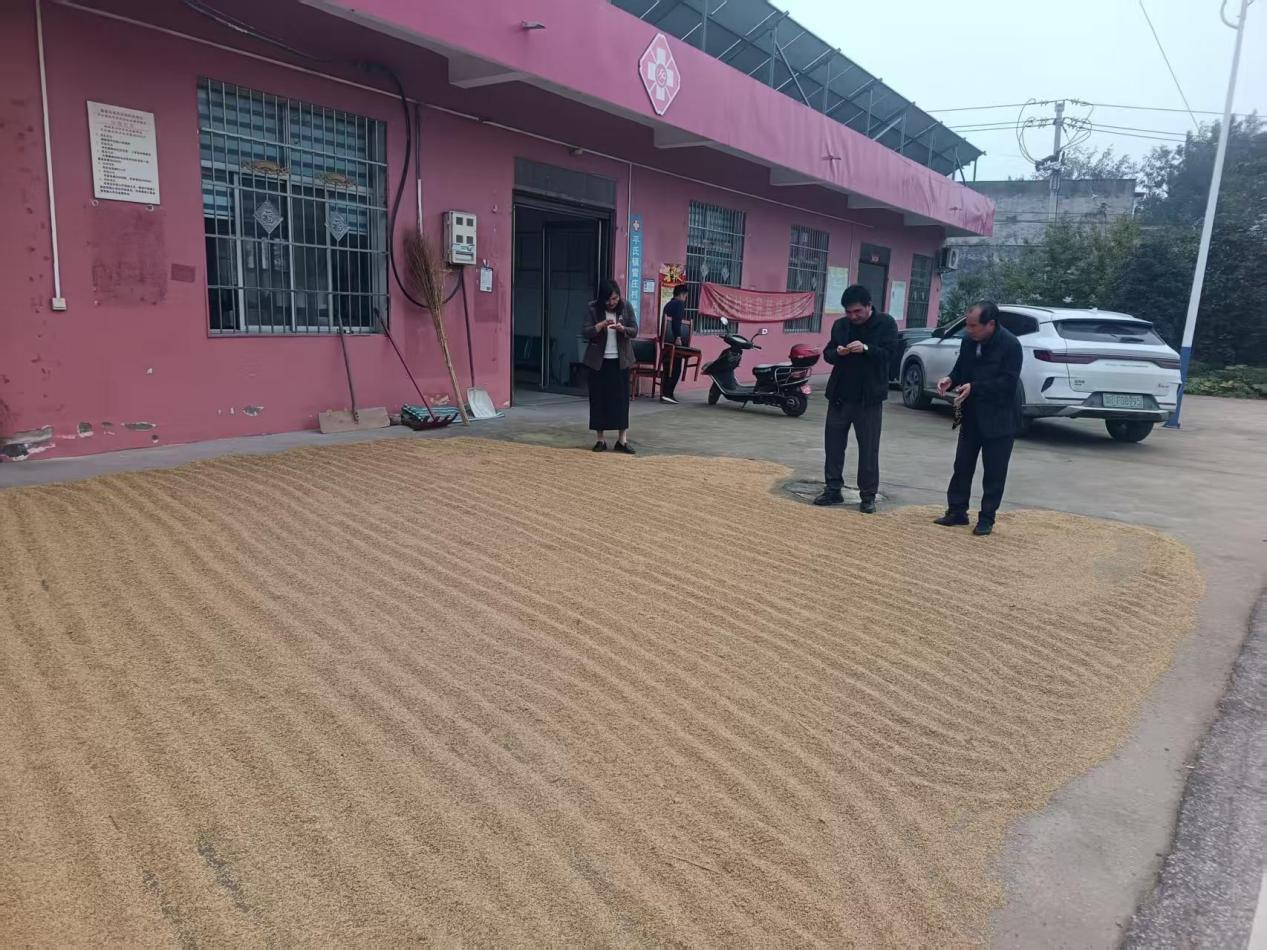 桐柏县平氏镇：协力奋战抓抢收 确保秋粮颗粒归仓