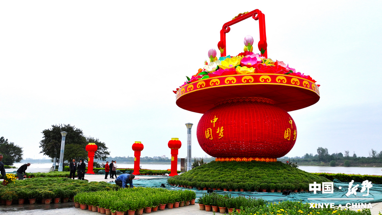 古城新野万菊绽放，每一帧画面都是“享美好生活”的模样