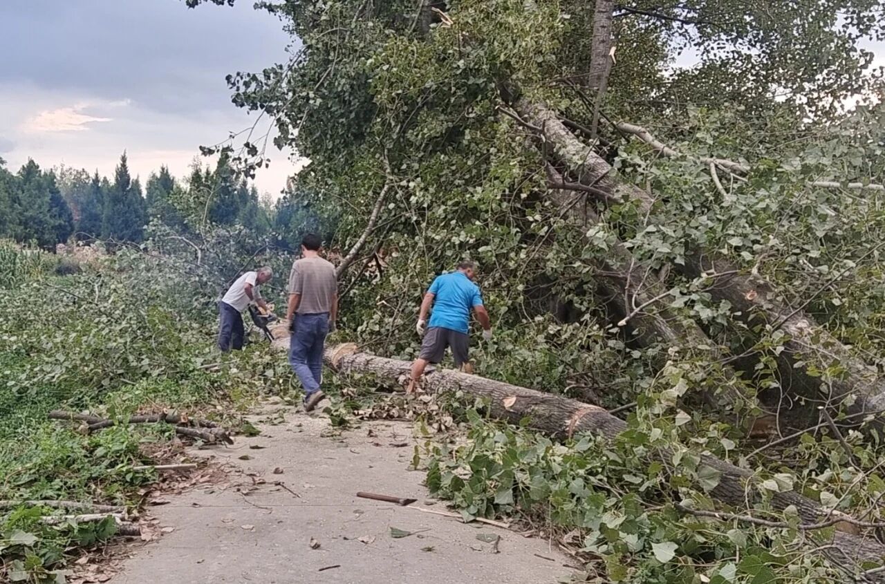 暖心！南阳军地为部队排忧解难