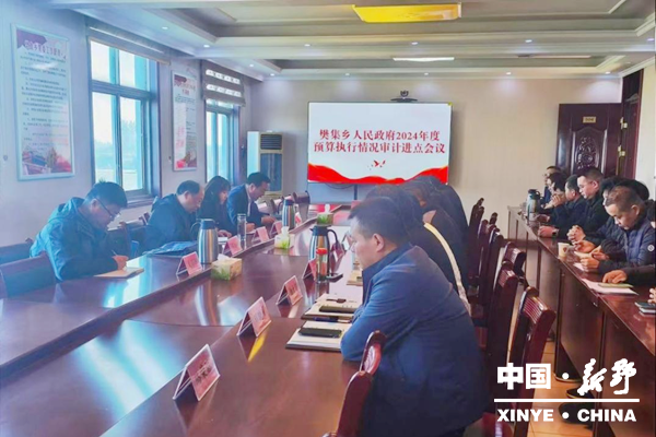 县审计局召开樊集乡人民政府2024年度财政决算及其他财政收支审计进点会议