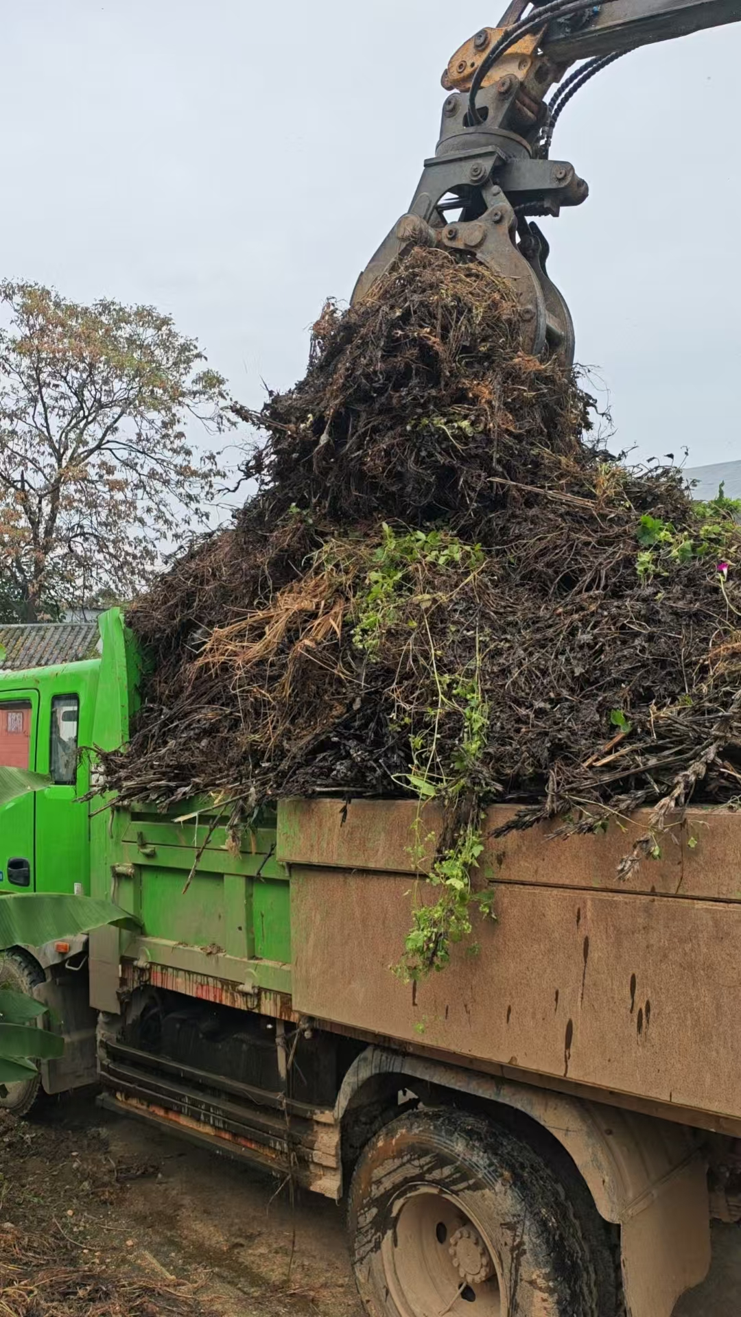 桐柏县平氏镇：全面整治人居环境 助力美丽乡村建设