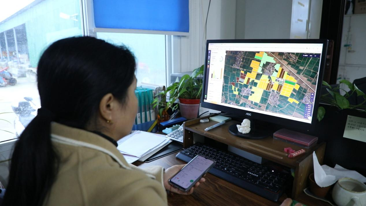 桥头镇蔬菜基地获准供应第十五届全运会运动员食材