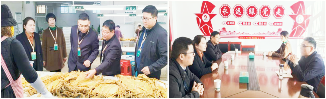 片烟归仓做好收购 落实规划夯实基础 片烟归仓做好收购 落实规划夯实基础
