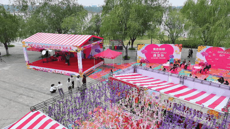 古城新野万菊绽放，每一帧画面都是“享美好生活”的模样