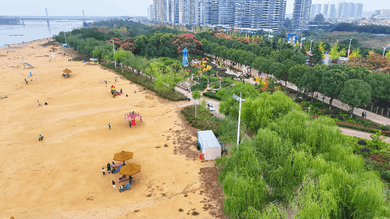 古城新野万菊绽放，每一帧画面都是“享美好生活”的模样